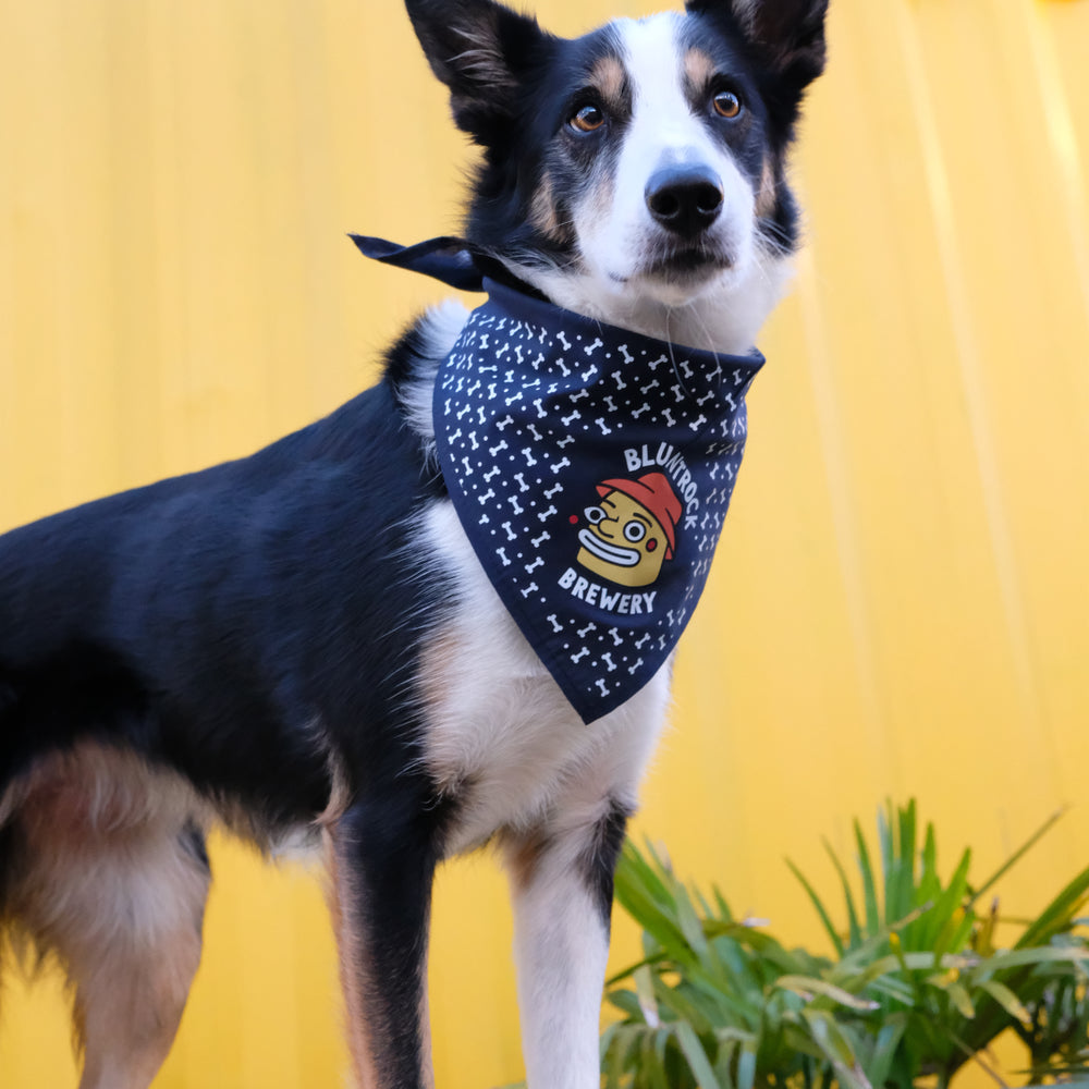 
                  
                    Bluntrock Dog Bandana
                  
                