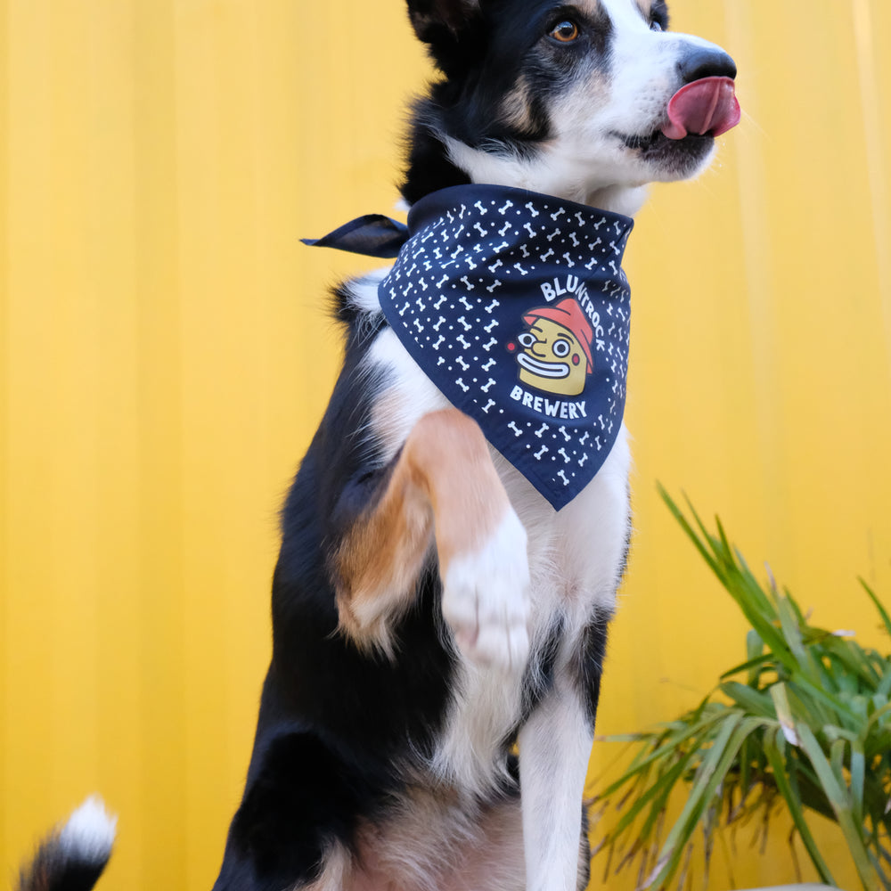 
                  
                    Bluntrock Dog Bandana
                  
                